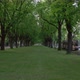 Metro through Green Avenue City Park - VideoHive Item for Sale
