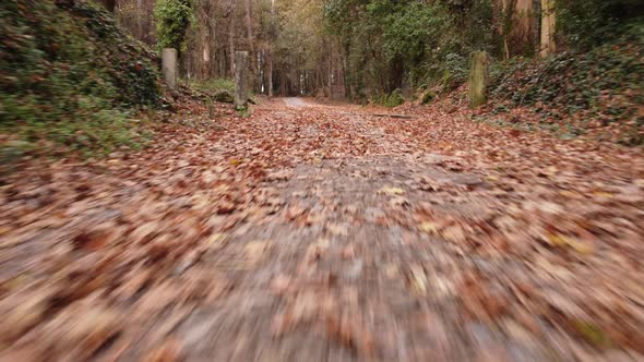 Aerial Walk In The Countryside 4K 06 alt