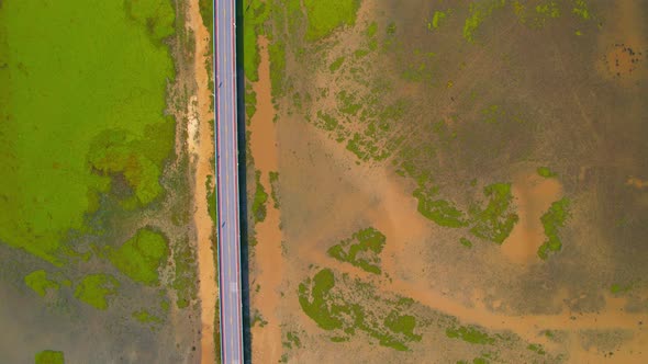 Aerial view from a drone over green and yellow plants in a large wetland alt