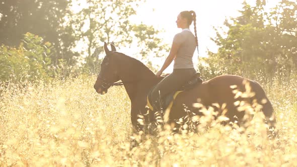 Young woman horse riding through lush meadow
