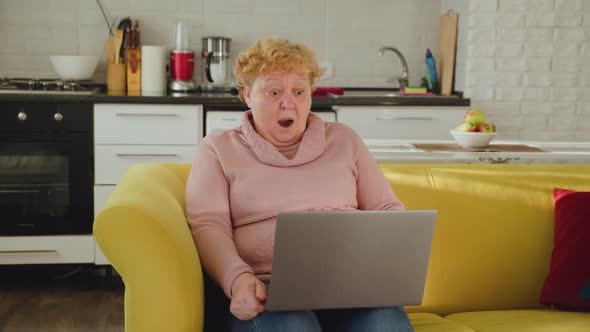 Elderly Woman Sitting on the Couch in the Living Room Has the Laptop in Her Hand alt