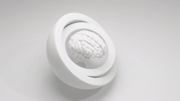 A spinning brain contained by spheres