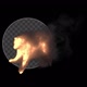 Running Fire Wolf Ver.2 - VideoHive Item for Sale