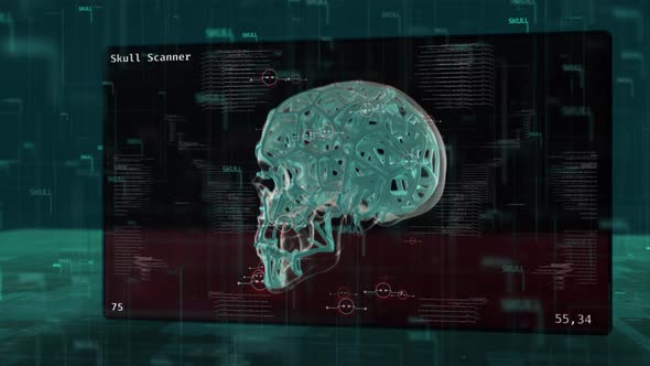 HUD UI Human Skull Scanner
