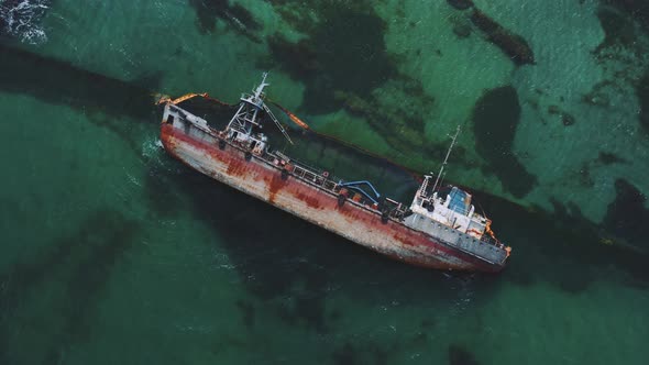 Ecological Disaster on the Beaches of Odessa in Ukraine alt
