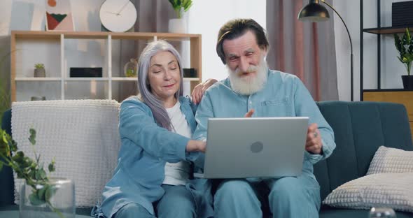 Senior Couple Sitting on the Couch at Home During Video Call with Friends Using Computer alt