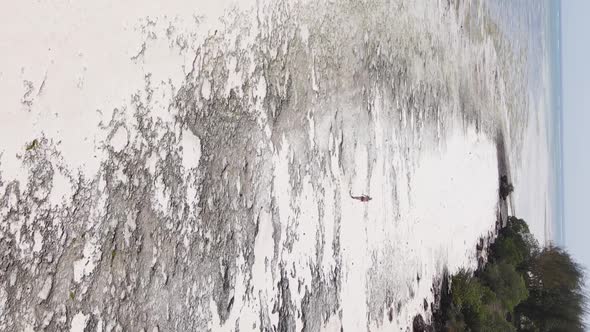 Zanzibar Tanzania  Vertical Video of a Coastal Landscape Slow Motion alt