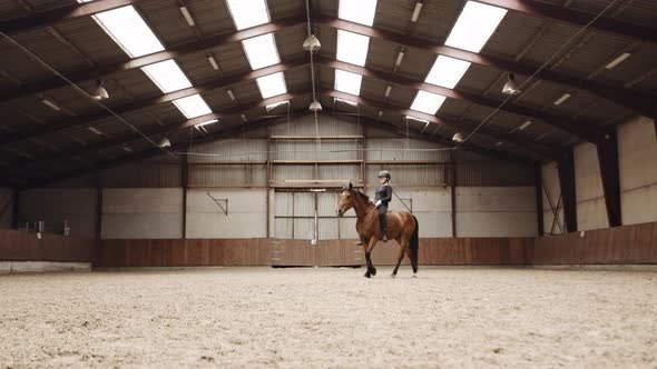 Woman Riding Horse Bareback Standing In Paddock alt