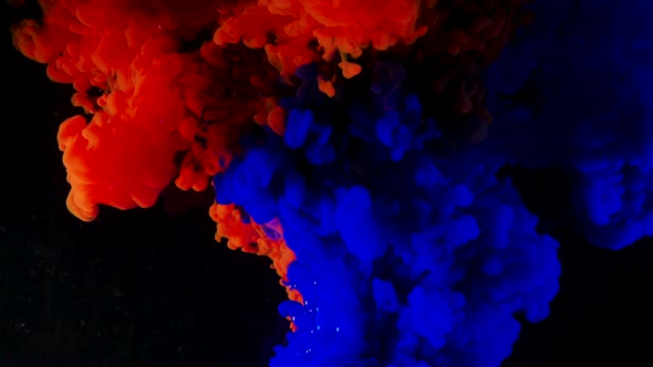 Deep Blue and Red Color Paints Flow Down Spreading in Water alt