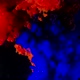 Deep Blue and Red Color Paints Flow Down Spreading in Water - VideoHive Item for Sale