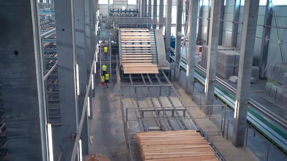 Wood On The Conveyor At The MDF Factory