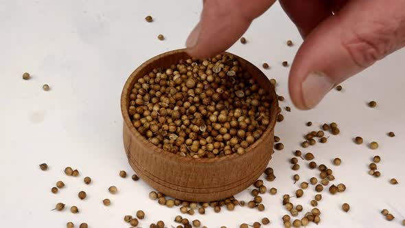 Chef Taking Dry Coriander Seeds or Chinese Parsley Spices From Wooden Spice Jar alt