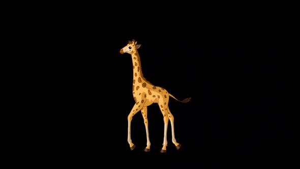 Little baby giraffe walks back and forth alpha matte full shot