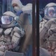 Astronauts Testing Spacesuit in Laboratory - VideoHive Item for Sale