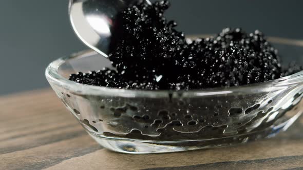 Black Caviar Closeup alt