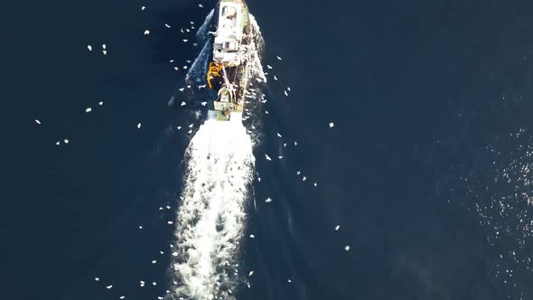 amazing drone shot of fisherman boat with seagulls alt