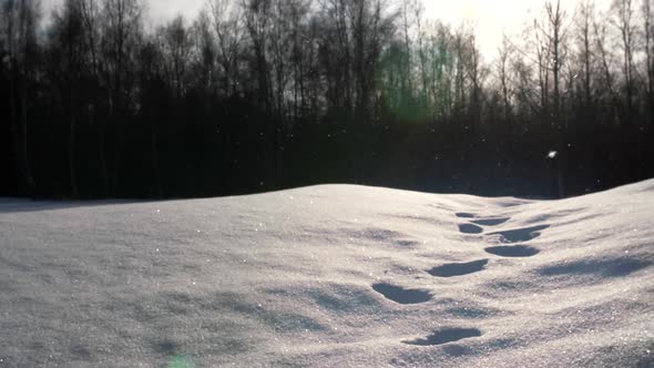 Dreamy magical snowfall covers foot path in winter snow, close shot alt