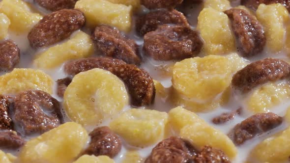 Breakfast Chocolate Corn Cereal in a Bowl with Milk alt