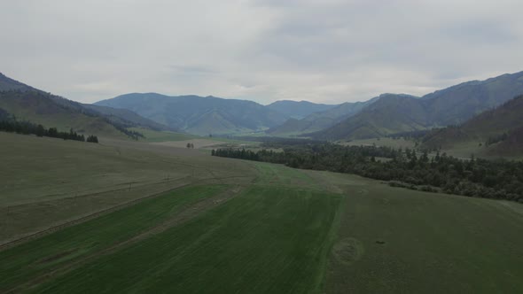 Green fields and mountains under blue sky with white clouds in Altai