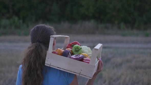 Farmer Holding a Box of Freshly Picked Organic Vegetables