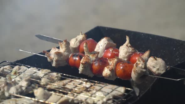 Cooking On the Barbecue Fire With Tomatoes