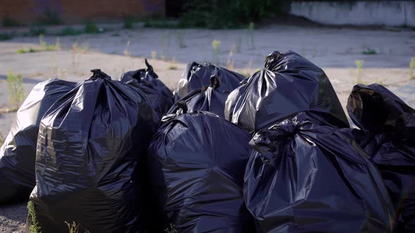 Black Garbage Bags Are Made Up in Place. A Garbage Truck Will Arrive Soon and Take Out the Garbage. alt