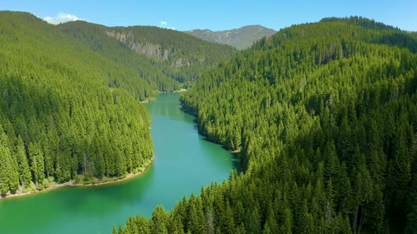 Aerial view of blue lake and green forests, Fresh water, Lake Baikal, Green Forest alt