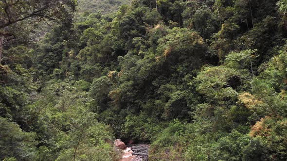 Drone flying over small river in the Peruvian amazon overlooking huge green trees alt