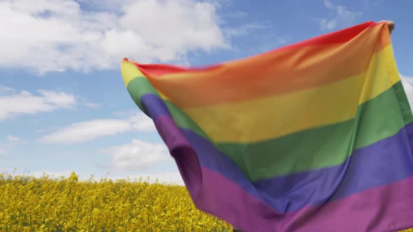 Female with LGBT rainbow flag on yellow rapeseed field in spring alt