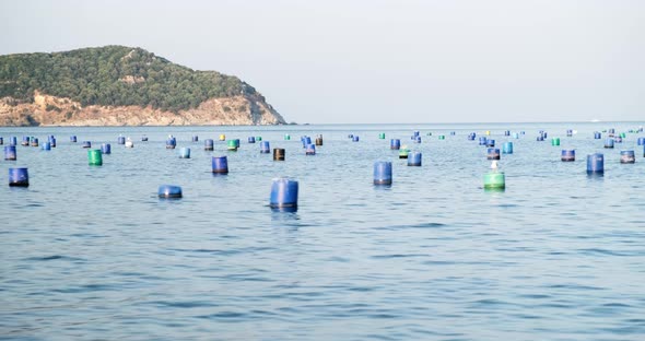 Barrels of the mussel cultivation farm alt