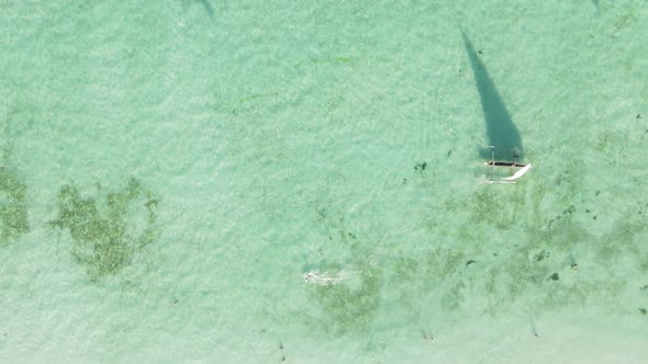 Vertical Video Boats in the Ocean Near the Coast of Zanzibar Tanzania Aerial View alt