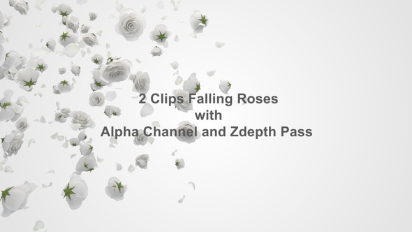 Falling Roses