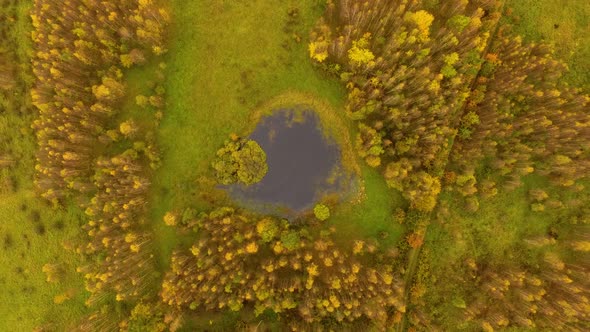 Aerial view of the autumn forest in cloudy weather alt