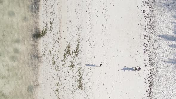 Zanzibar Tanzania  Vertical Video People Play Football on the Beach Slow Motion alt