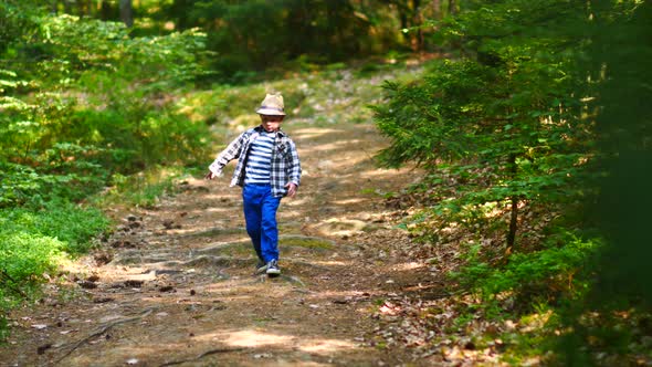 Cute Child Walking Alone in Green Forest