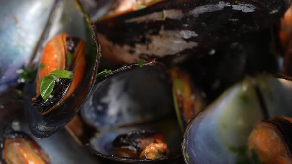 Mussels 25 alt