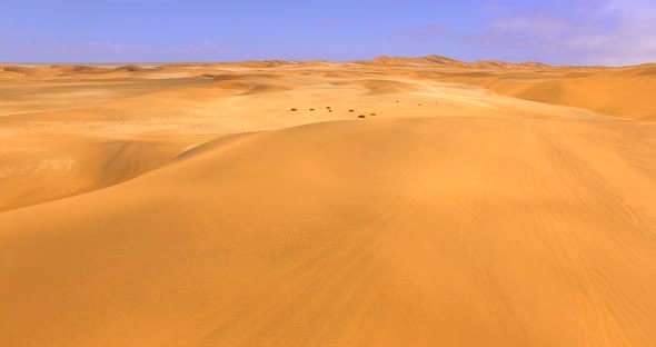 Enormous Park Under Clear Blue Sky alt