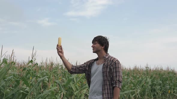 An agronomist in a corn field inspects the corn crop. Agriculture. alt
