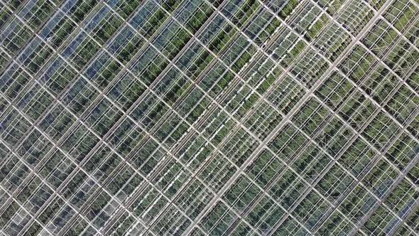 Aerial Greenhouse Farm 02