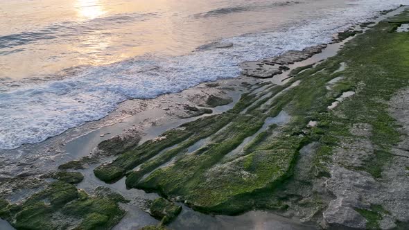 Texture of the rocky shore alt