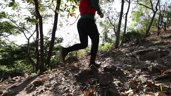 Fitness asian woman running on trail at sunrise tropical forest alt