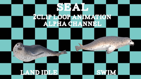 Seal 2Clip Loop