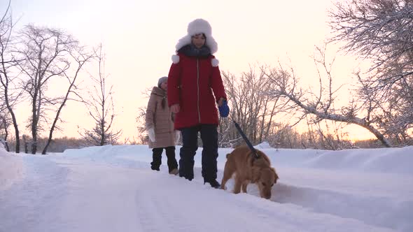 Children and Dog and Dog Walk Along Path in the Winter Park alt