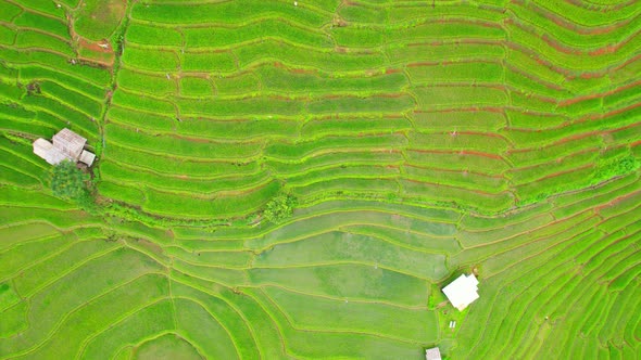 Aerial video of drones flying over rice terraces alt