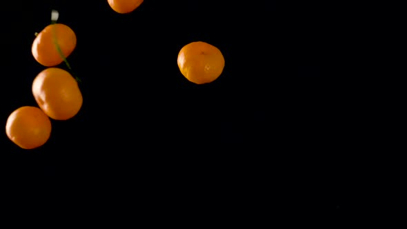 Orange Mandarin Flies Up And Down  alt