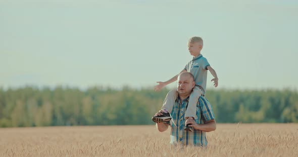 Farmer Walks Through a Wheat Field and Holds His Son on His Shoulders