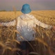 Funny Boy with a Hat Walking Across a Golden Wheat Field in Rainy Weather - VideoHive Item for Sale