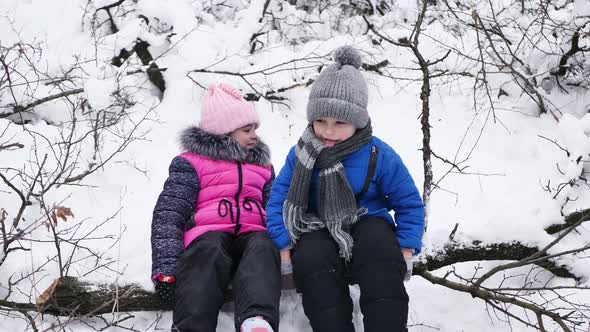 Friends a Boy and a Girl Brother and Sister Laugh and Fall Off a Log Into the Snow