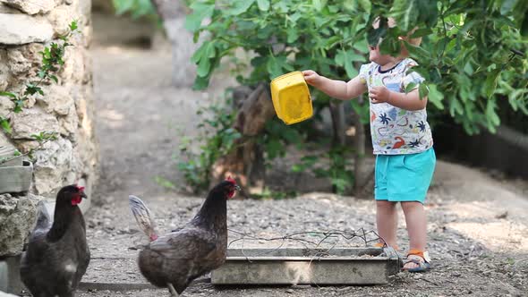 The little boy laughs, catches up and scares the chicken.
