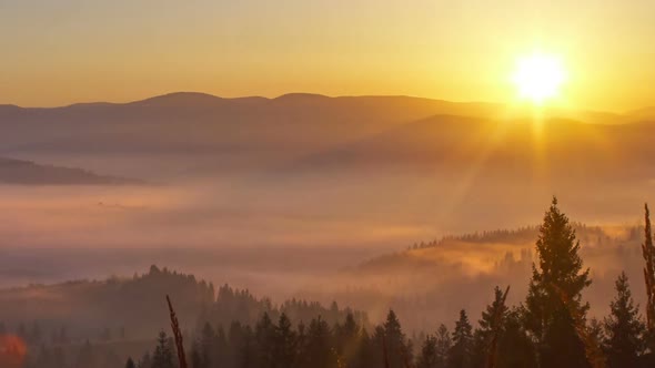 Beautiful sunrise over wild forest mountains in summer morning 